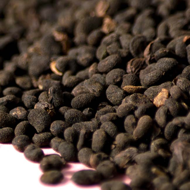 bakuchiol plant seeds Bakuchiol