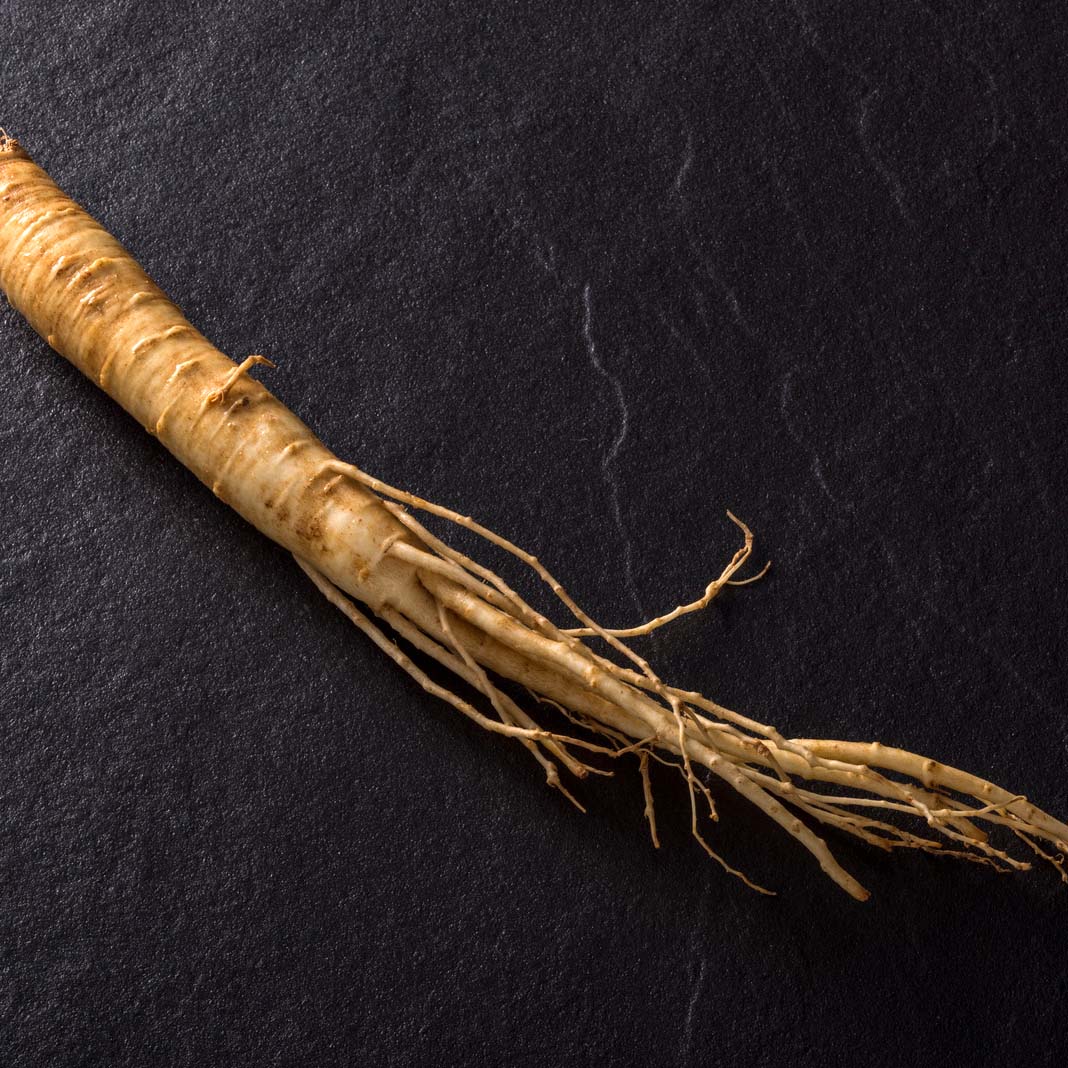 Ginseng Root Extract – Created By